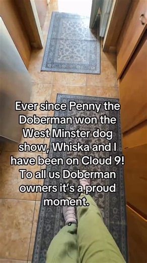 Proud Doberman Mom! Whiska is So proud of Miss Penny who won the West Minster Dog show #dobermanpinscher #pennythedoberman | Tea Santos