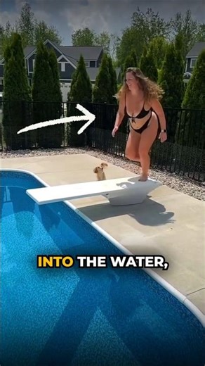 She Looks Like a Beginner but DIVES Like a Pro! 💦 #shorts #banku #funny #funnymoments #swimming