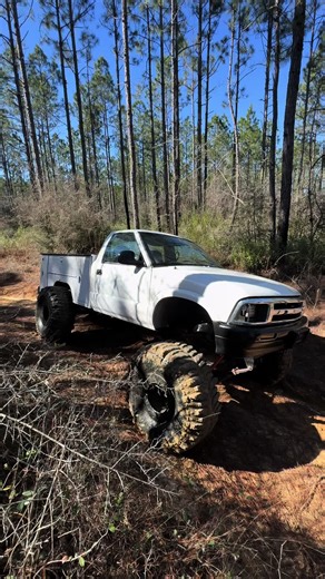 Unique Custom Builds: My Favorite Project Revealed