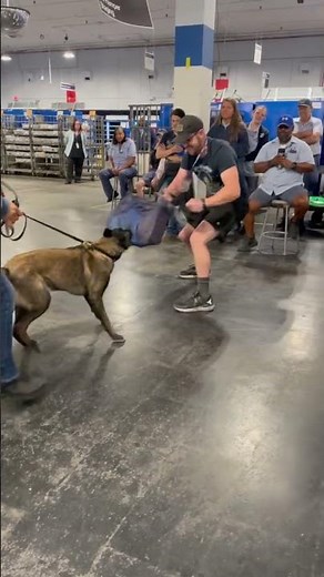 Dog trainer helps teach USPS letter carriers how to avoid attacks