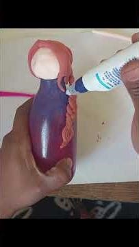 Turning Empty Bottles into Beautiful Dolls | Easy DIY Craft Idea #art #bottelart #doll