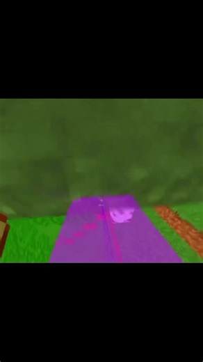 #media #donutsmp #minecrafthack #fyp #krypton