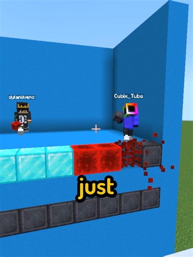 Minecraft Player Shows Low IQ in Gameplay