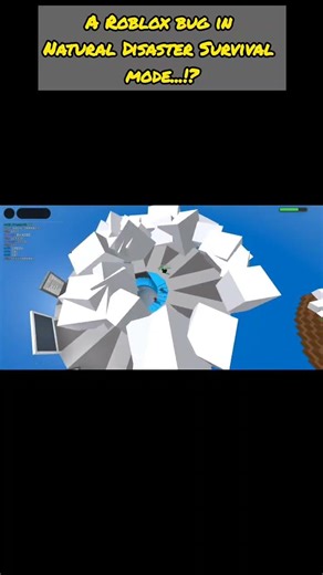 A natural disaster survival Roblox bug...!?!?