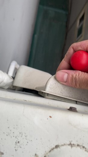 Animal Interaction with Household Objects Explained