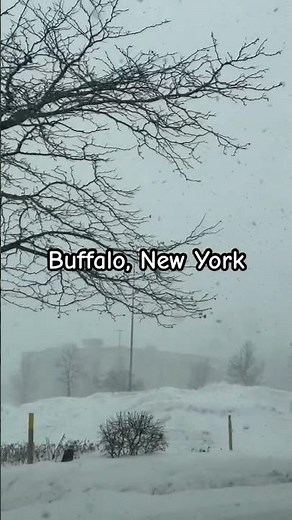 SNOWFALL | CHEEKTOWAGA | BUFFALO, NY