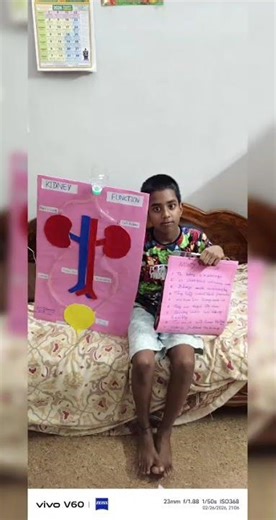 science project# kidney function project