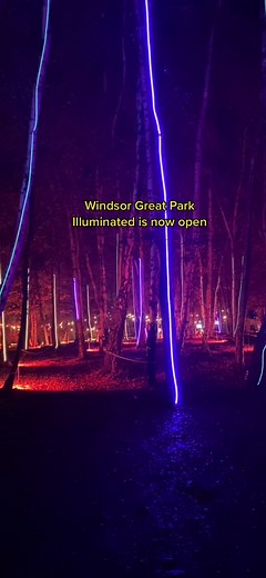 Now open, and shimmering for the whole festive season ✨🙌💫 Come and experience the magic of Windsor Great Park Illuminated 🧚‍♀️ #windsor #windsorgreatparkillumimated #winter #festive #christmas #thingstodo #lights #magic #lighttrail #christmaslights #windsorilluminated #windsorgreatpark
