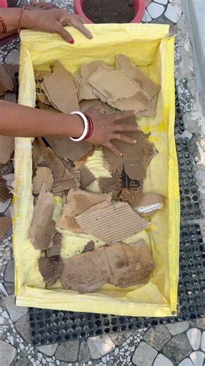 DIY Grow Bag at Home 🌿 | Planting Garlic (Lassoon) in Grow Bag | Terrace Gardening Short #diy