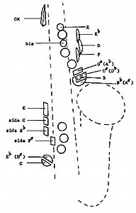 Tous les doigté saxophone : Tablature saxophone alto et ténor