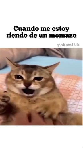 pero es iPhone #parati #memes #humor #shorts
