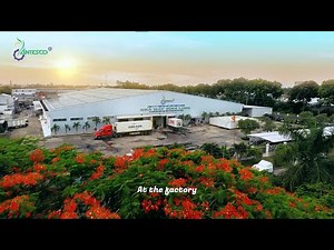 ANTESCO MANGO CORPORATE ENG