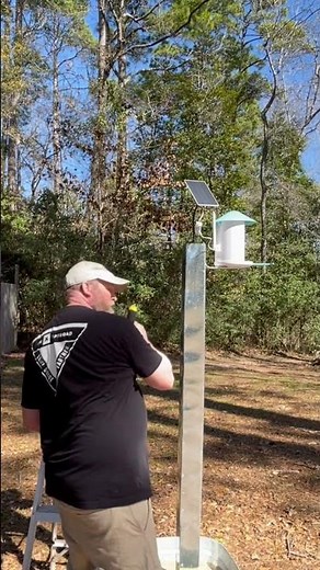 Part 3 of the Netvue Birdfy solar panel installation #birds #bird #nature