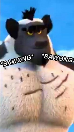 MADAGASCAR | ALL HAIL KING JULIAN | KOTTO BOUNCES THEIR FLUFFY PECS *BAWONG*💪🦊🐾👀🥵🔥🧡 #bawong