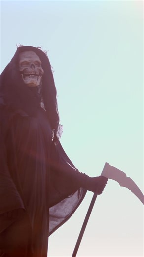 This is Wild: New Single Launch Announcement