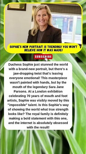 THE HIDDEN TWIST IN SOPHIE’S NEW PORTRAIT! 🔥😱 #SophieEdinburgh #RoyalSecret #AmazingArt