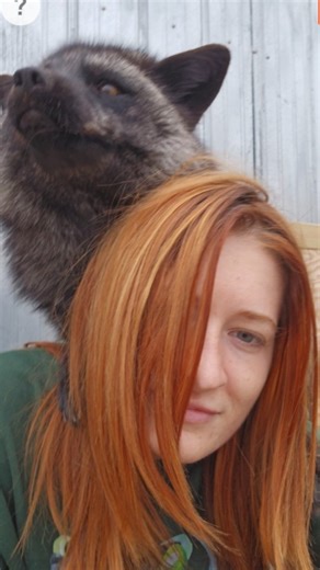 Ethan Frankamp | A #Rubyfox update. Thank you so much to everyone who is supporting us through this difficult time, that only seems to be getting harder. We... | Instagram