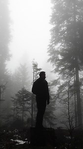 Man, Trees, Forest. Free Stock Video