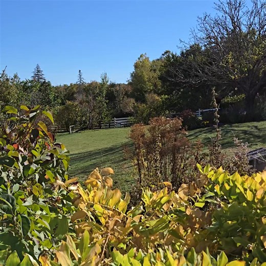 Fri.,October 3, 2025 - visiting Anne of Green Gables, Cavendish, PEI | Hamilton Tours Ltd of Bradford, Ontario