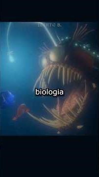 Essa LUZ NÃO É do peixe em Procurando Nemo #shorts