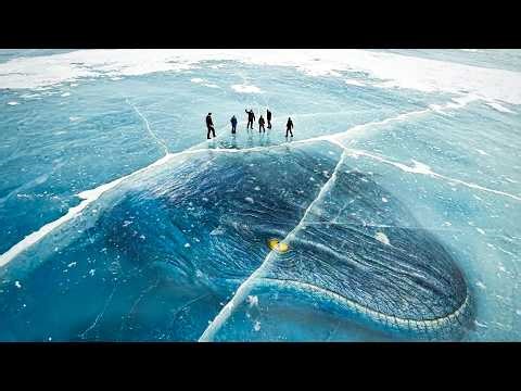 5 Mysterious Creatures Found Frozen Under Antarctica 😱