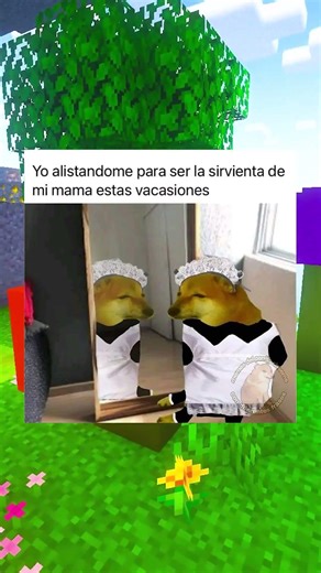 Memes Graciosos #1069