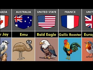 35 Countries and Their National Birds | You’ll Be Surprised! "Country Birds Guide" World’s Birds