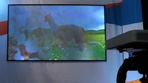 Mirraviz Multiview: Splitscreen-Games spielen ohne die Möglichkeit, zu schummeln - Golem.de