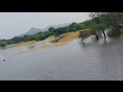 Ye kya nikal pani se 😱😱#viralvideo