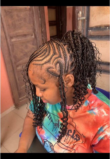 Lemonade Braids: Stunning Styles by Awka Braider