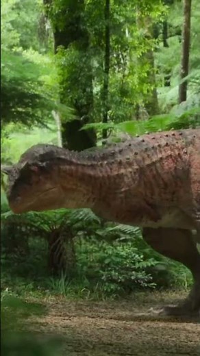 Learning dinosaurs facts for kids! | Carnotaurus
