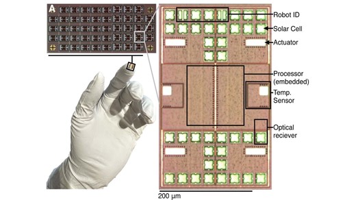 Microrobots smaller than a millimeter can think and act on their own