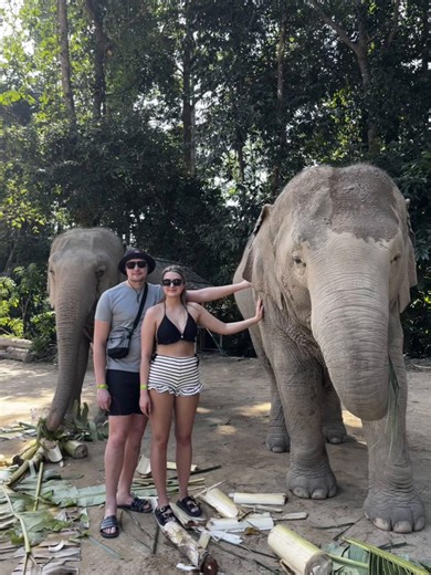 The most amazing day meeting the elephants at a sanctuary in Koh Samui 🐘🌴 #thailand #kohsamui