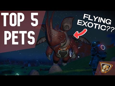 How to find THE BEST PETS in No Mans Sky Locations-2021 Pet Update!!