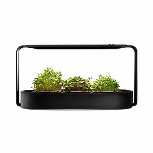 [Hot Item] Ingarden Organic Superfood Sprouting Seed Pads Auto 4-Stage LED Grow Lights & Hydroponic Watering System Microgreens Growing Kit