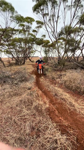 Exploring the KTM 350 SX-F: A Rider's Perspective