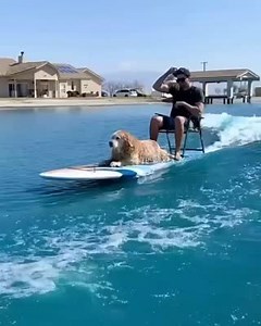 Cruising through the week and waiting for Saturday when COMPOUND...