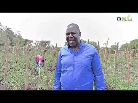 Pur mar Nyanya e aluora mar Nam Lolwe