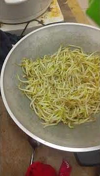 Stir-fry bean sprouts with egg for 5 minutes