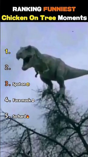 RANKING FUNNIEST Chicken On Tree Moments #funny