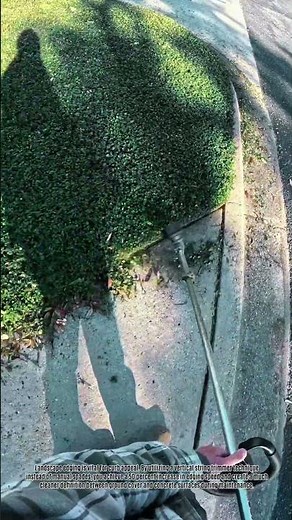 Optimize your landscape edging process using professional string trimmer skills