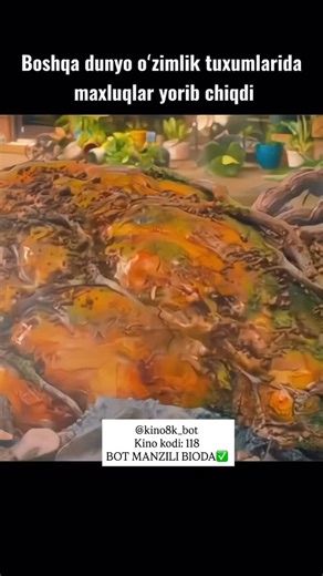 ENG ZO’R TOP KINOLAR | HAMMASI SIZLAR UCHUN on Instagram: "🛑🛑•Kinoni ko’rish uchun commentga “( kino , film )” so’zingizni yozib qoldiring. Men sizga direct orqali kinoni yuboraman✅ . YOKI . @kino8k_bot Botga kiring va (118) kodini yuboring. Bot sizga kinoni yuboradi✅✅ 日本利用压电地砖将脚步能量转化为电力。这些地砖能捕捉行走时的动能。当人们经过时，重量和动作会对地面施加压力，导致地砖轻微弯曲并产生机械应力。瓷砖内部的压电材料将这种应力转化成电能。每一步释放的电量虽然较小，但当数百万脚步累积在一起时，就能产生足够的能量，为LED灯、显示屏和传感器供电。 #日本 #知识 #冷知识 #科学 #技术 你知道吗 推荐 创新 能源 未来 发电 压电技术 城市科技 可再生能源 绿色城市 节能科技 能源转换 科学知识 科技资讯 在像