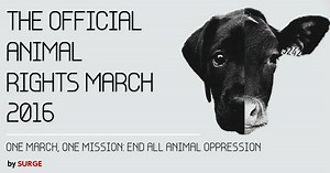 34K views · 764 reactions | The streets are SHUT DOWN in London, UK...