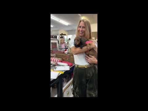 Consign Charleston : Charleston, South Carolina's largest resale store!