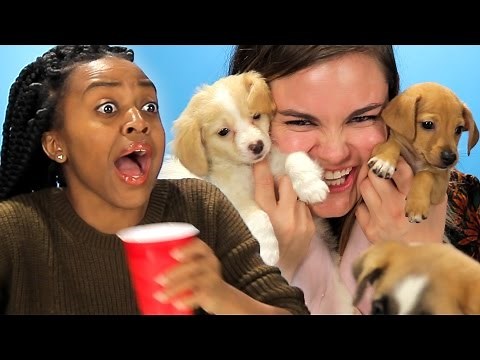 Drunk Girls Get Surprised With Puppies