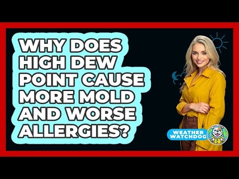 Why Does High Dew Point Cause More Mold And Worse Allergies? - Weather Watchdog