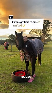 Nighttime Farm Feeding Routine with 30 Animals