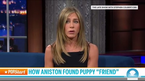 Jennifer Aniston Reveals She Adopted Dog From ‘Friends’ Set