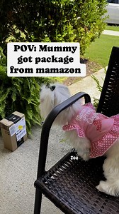 Package from mamazon | Zoe Mia Asia