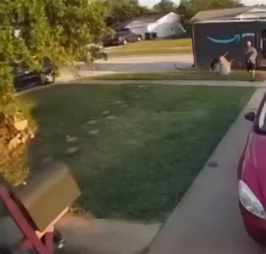 An Amazon delivery guy sprays pepper spray on the house dog for no reason at all, and the owner lands a nice slap on him